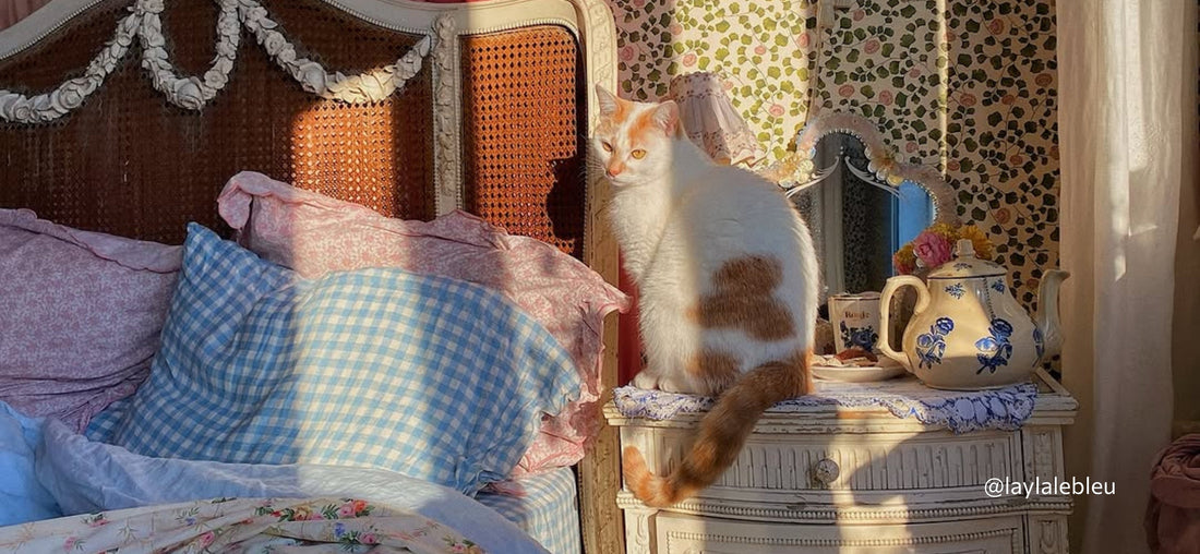 A cosy coquette bedroom with blue gingham pillows and a cat sitting on the bedside table in the sunlight.